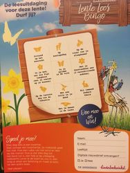 Lente Lees Bingo