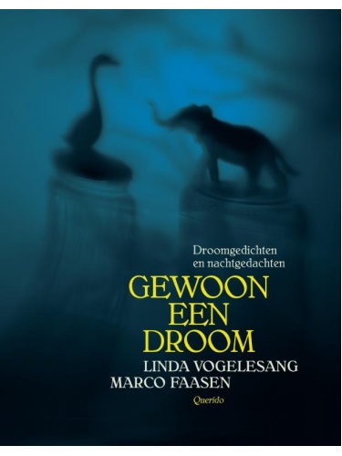 gewoon_een_droom