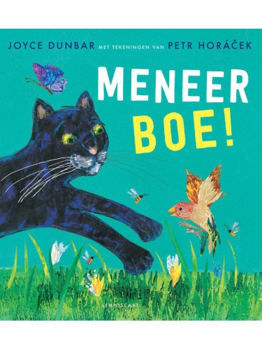 meneer_boe