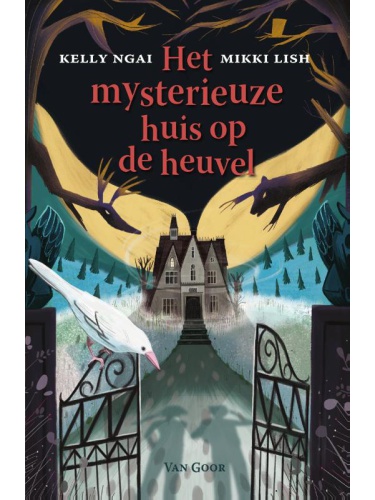 mysterieuze_huis