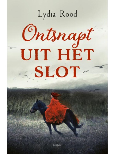 ontsnapt_uit_het_slot