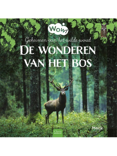 wonderen