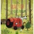 kleine_tractor
